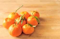 柑橘籽怎么种植