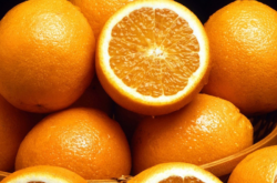 柑橘覆膜种植