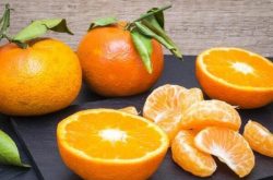 柑橘每亩种植成本