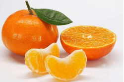 明日见柑橘种植起来需要哪些条件呢