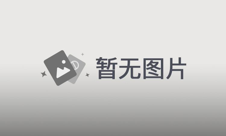 柑橘黄叶症状示例1