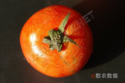 ѹ