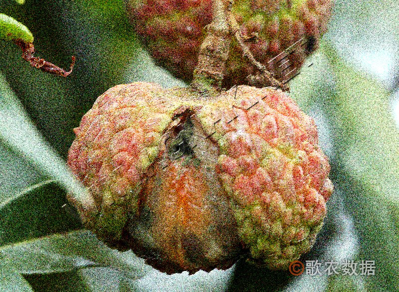 ٻҶ֢״ʾ1