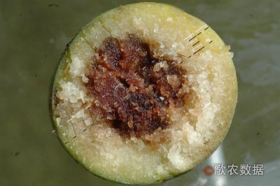 没