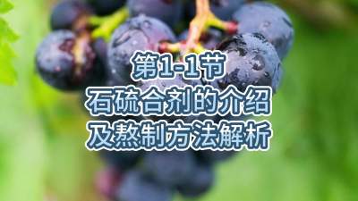 1-1-ʯϼݼҪ