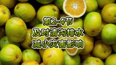 2-4-ʵʱ幵ˮ СӰ