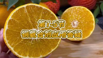 7-5-ͭϼӦô