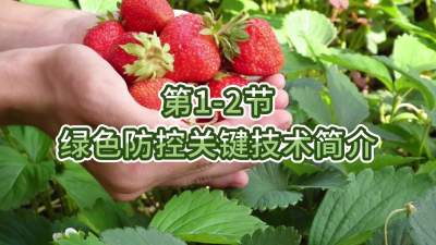 1-2-ɫҪռ