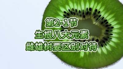 2-1-˴ԪĵҪ𿴴