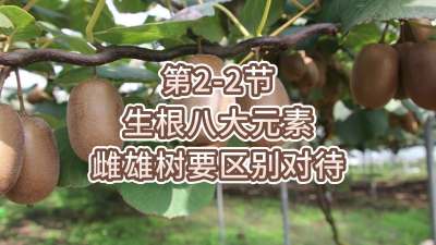 2-2-˴ԪĵҪ𿴴