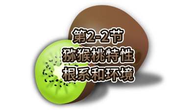 2-2-⨺-ϵ