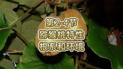 2-4-⨺-ϵ