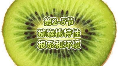 2-5-⨺-ϵ