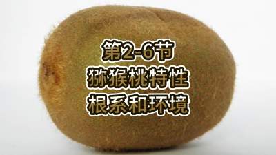 2-6-⨺-ϵ