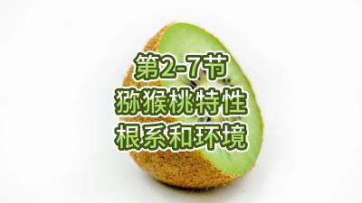 2-7-⨺-ϵ