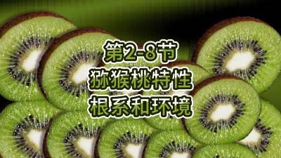 2-8-⨺-ϵ