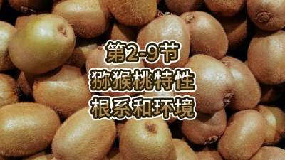 2-9-⨺-ϵ