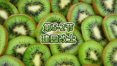 5-2-԰