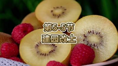 5-5-԰