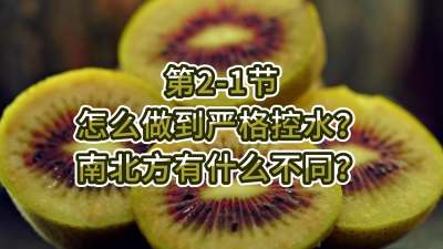 2-1-ôϿˮϱʲô