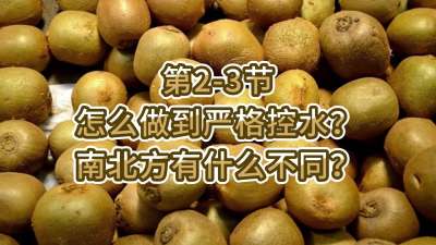 2-3-ôϿˮϱʲô