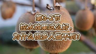 3-2-ˮЧôΪʲô