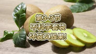 3-3-ѧ״ֻٹ