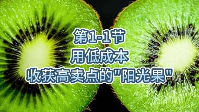 1-1-õͱǮջ“”