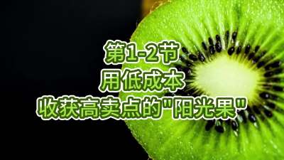 1-2-õͱǮջ“”