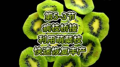 5-3-֦Ž-ʹ֦ٻָ