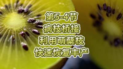 5-4-֦Ž-ʹ֦ٻָ