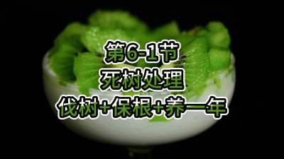 6-1-óͷ-++һ