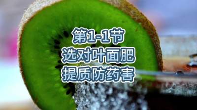 1-1-ѡҶʷҩ