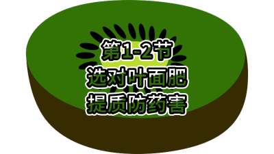 1-2-ѡҶʷҩ