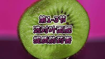 1-3-ѡҶʷҩ