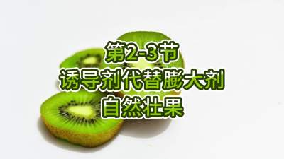 2-3-յȡȻ׳