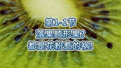 1-1-ιǻǵĻ