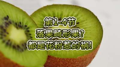 1-4-ιǻǵĻ