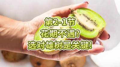2-1-ڲѡҪ