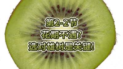 2-2-ڲѡҪ