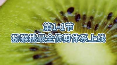1-1-⨺ȫ޼ϵͳ