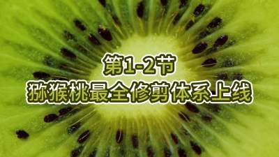 1-2-⨺ȫ޼ϵͳ