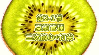 2-1-ļ-ժ+