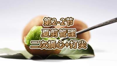 2-2-ļ-ժ+