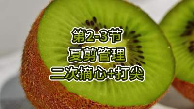 2-3-ļ-ժ+