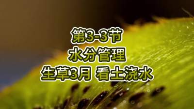 3-3-ˮֵ-3 ˮ