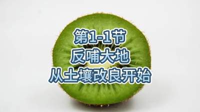 1-1-