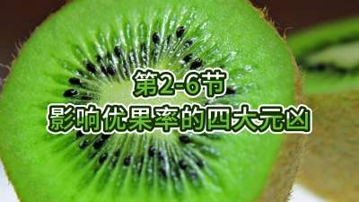 2-6-ӰŹʵĴԪ