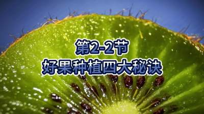 2-2-ùݪֲĴ
