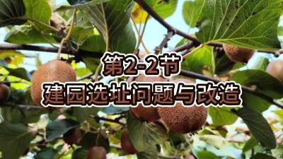2-2-԰ѡַˢ